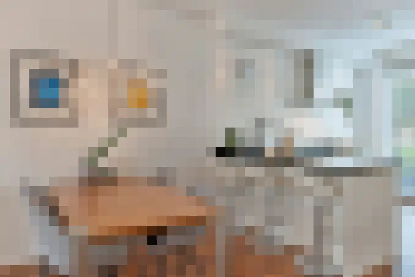 André Voltenlaan 124 Utrecht thumbnail 21