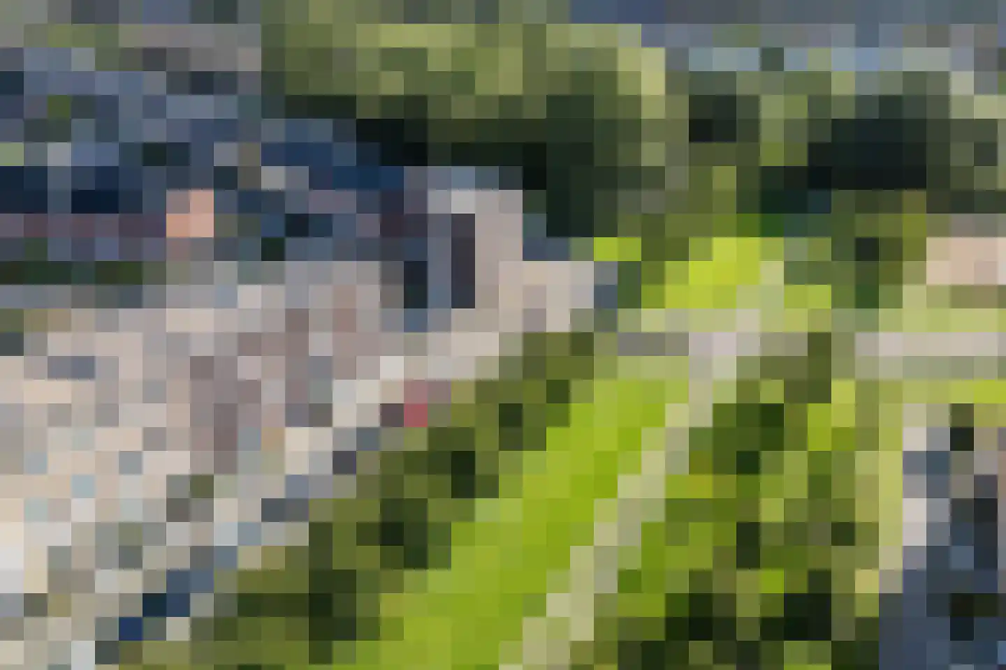 André Voltenlaan 124 Utrecht thumbnail 62