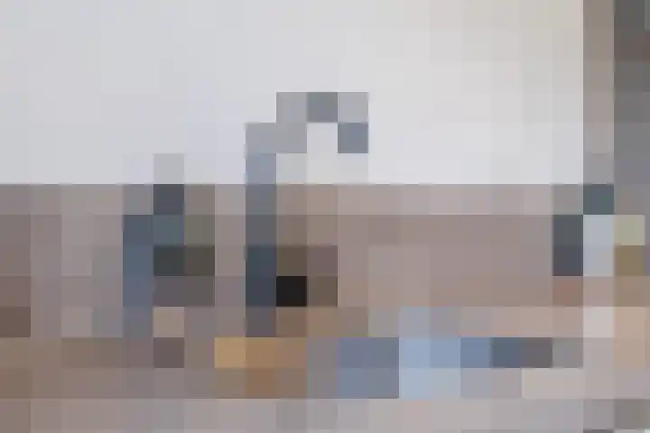 André Voltenlaan 7 Utrecht thumbnail 13