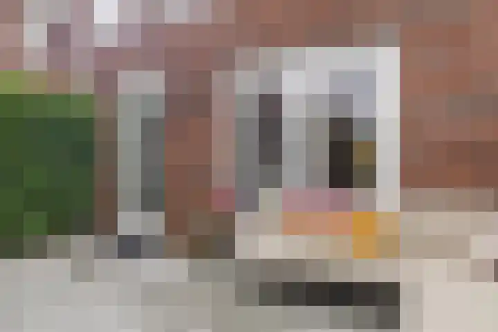 André Voltenlaan 7 Utrecht thumbnail 29