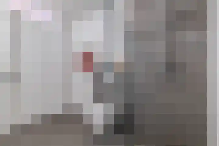 André Voltenlaan 7 Utrecht thumbnail 42