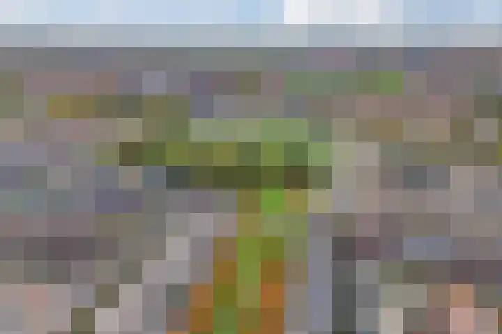 André Voltenlaan 7 Utrecht thumbnail 65