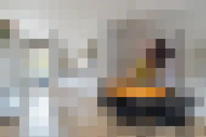 André Voltenlaan 7 Utrecht thumbnail 8
