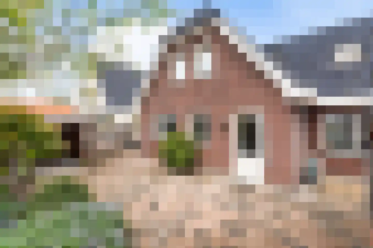 Andrea Domburgsingel 13 Berkel en Rodenrijs thumbnail 58