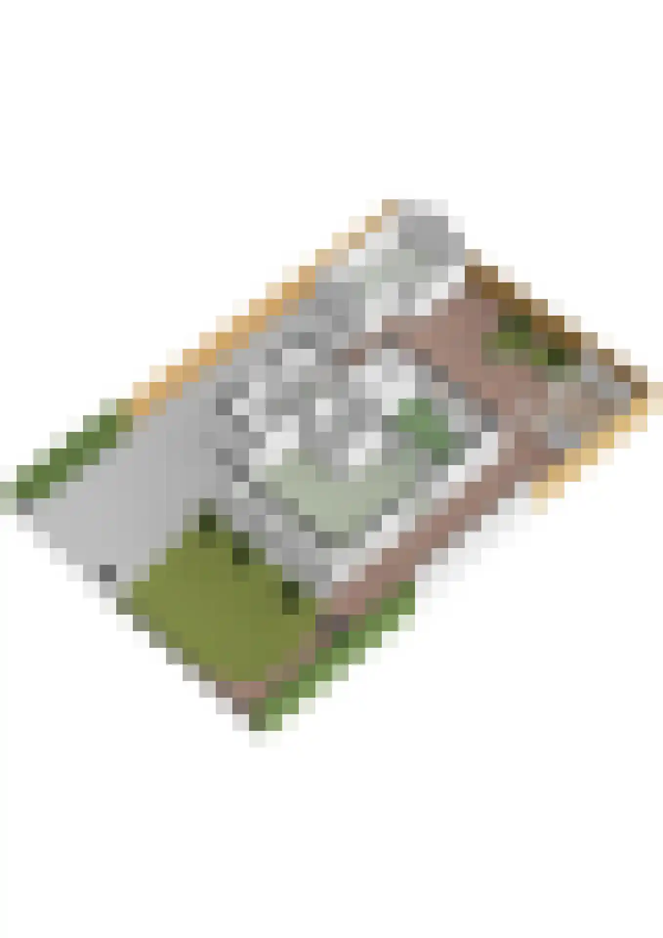 Andrea Domburgsingel 13 Berkel en Rodenrijs thumbnail 73