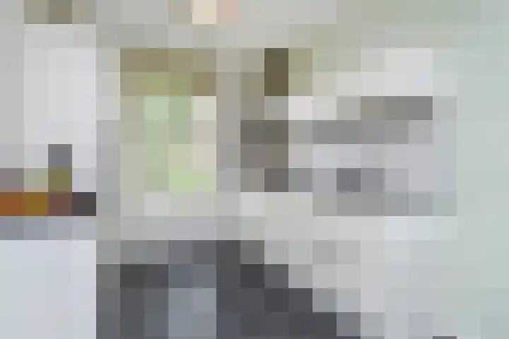 Andrea Domburgsingel 9 Berkel en Rodenrijs thumbnail 14