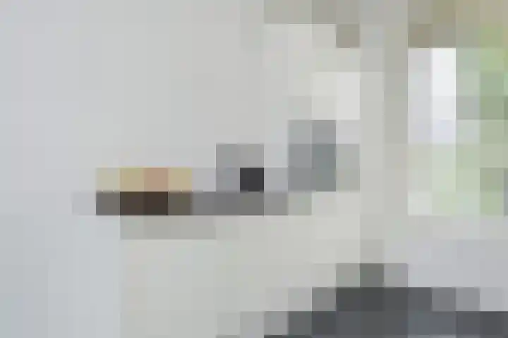 Andrea Domburgsingel 9 Berkel en Rodenrijs thumbnail 16