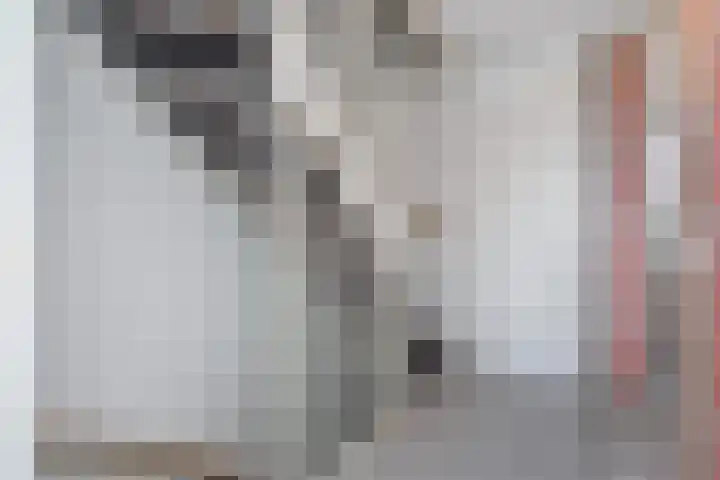 Andrea Domburgsingel 9 Berkel en Rodenrijs thumbnail 21