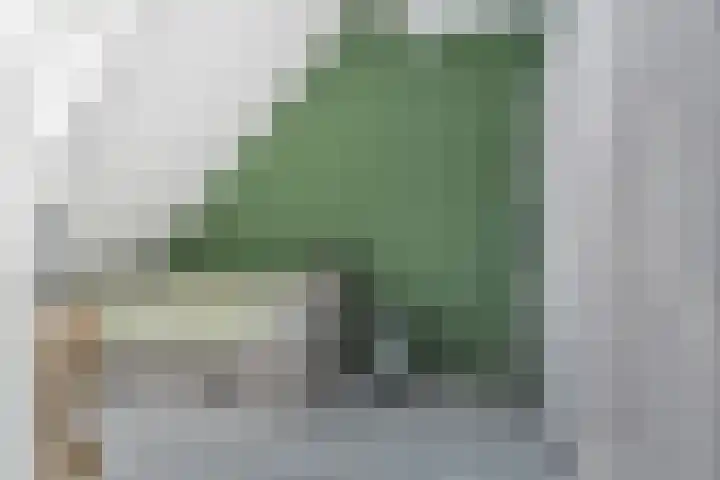 Andrea Domburgsingel 9 Berkel en Rodenrijs thumbnail 25