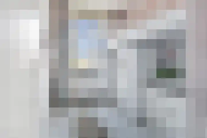 Andrea Domburgsingel 9 Berkel en Rodenrijs thumbnail 28