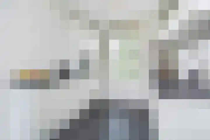 Andrea Domburgsingel 9 Berkel en Rodenrijs thumbnail 4