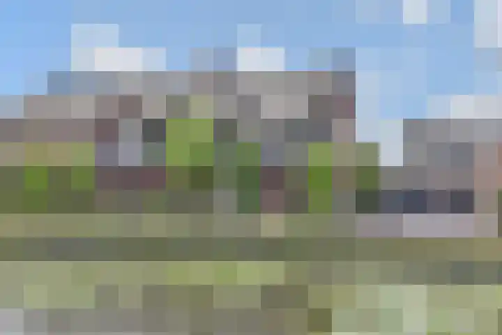Andrea Domburgsingel 9 Berkel en Rodenrijs thumbnail 49