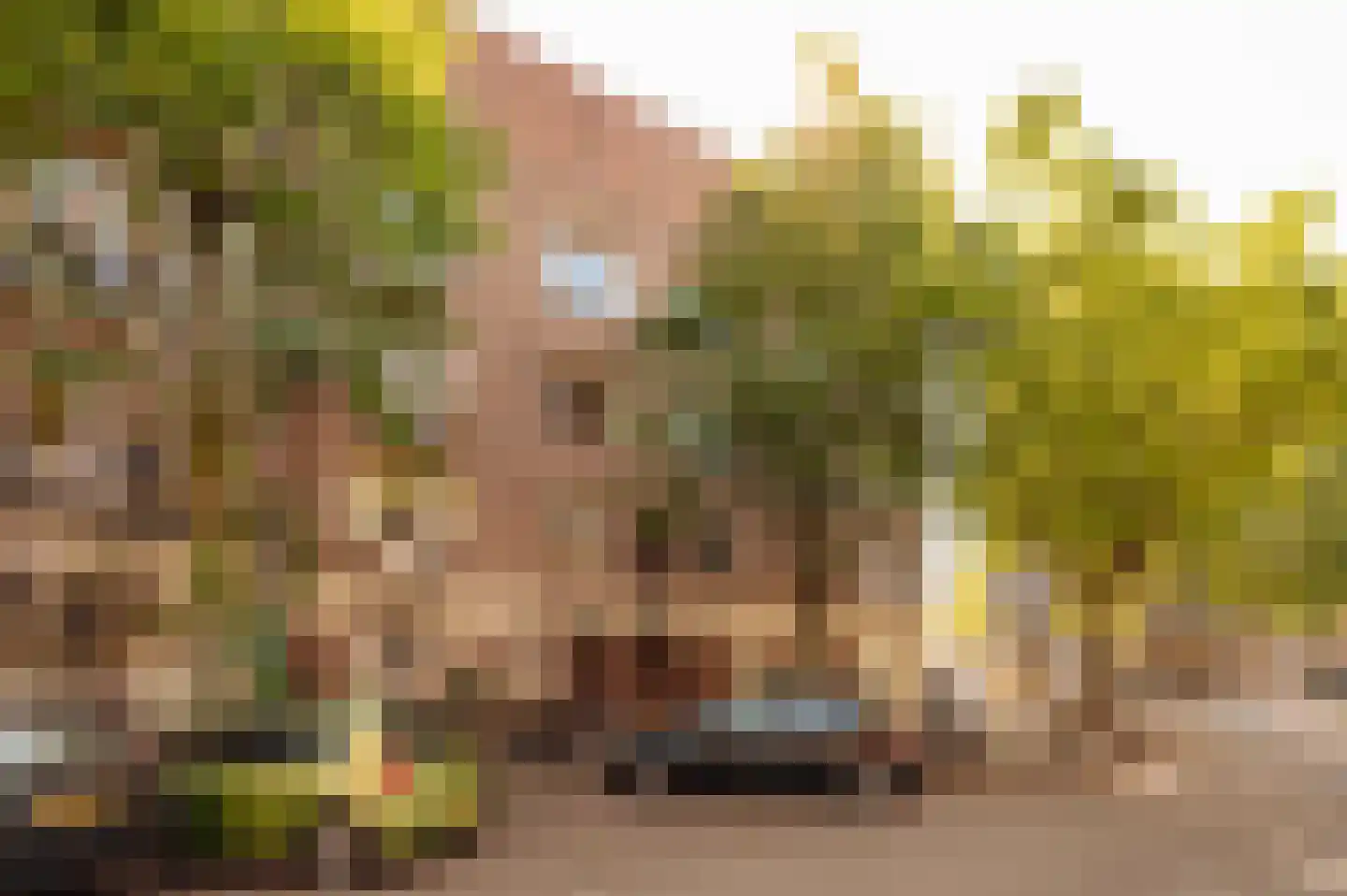 Andreas Bonnstraat 32 3 Amsterdam thumbnail 5