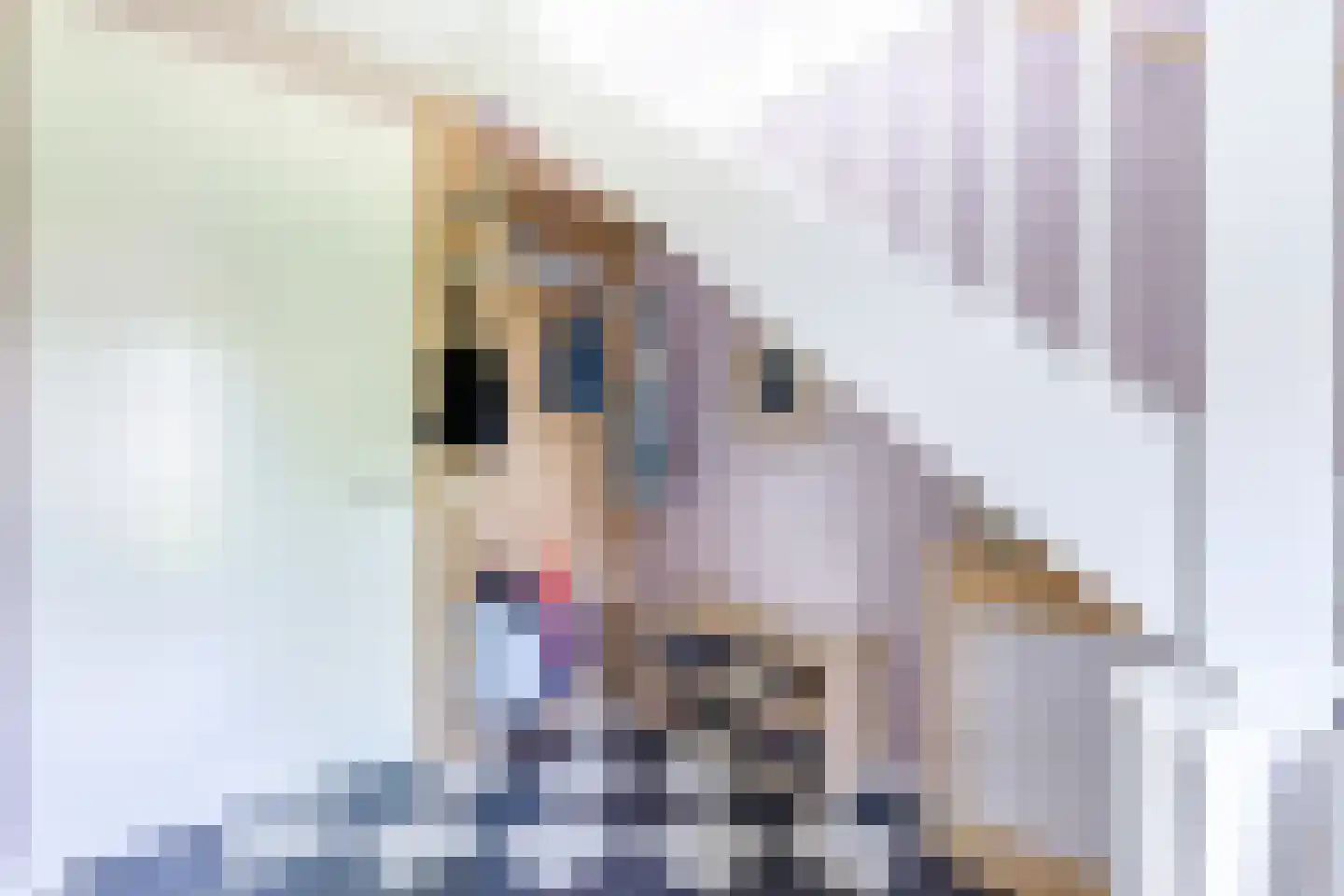 Andreas Cellariushof 2 Zwaag thumbnail 14
