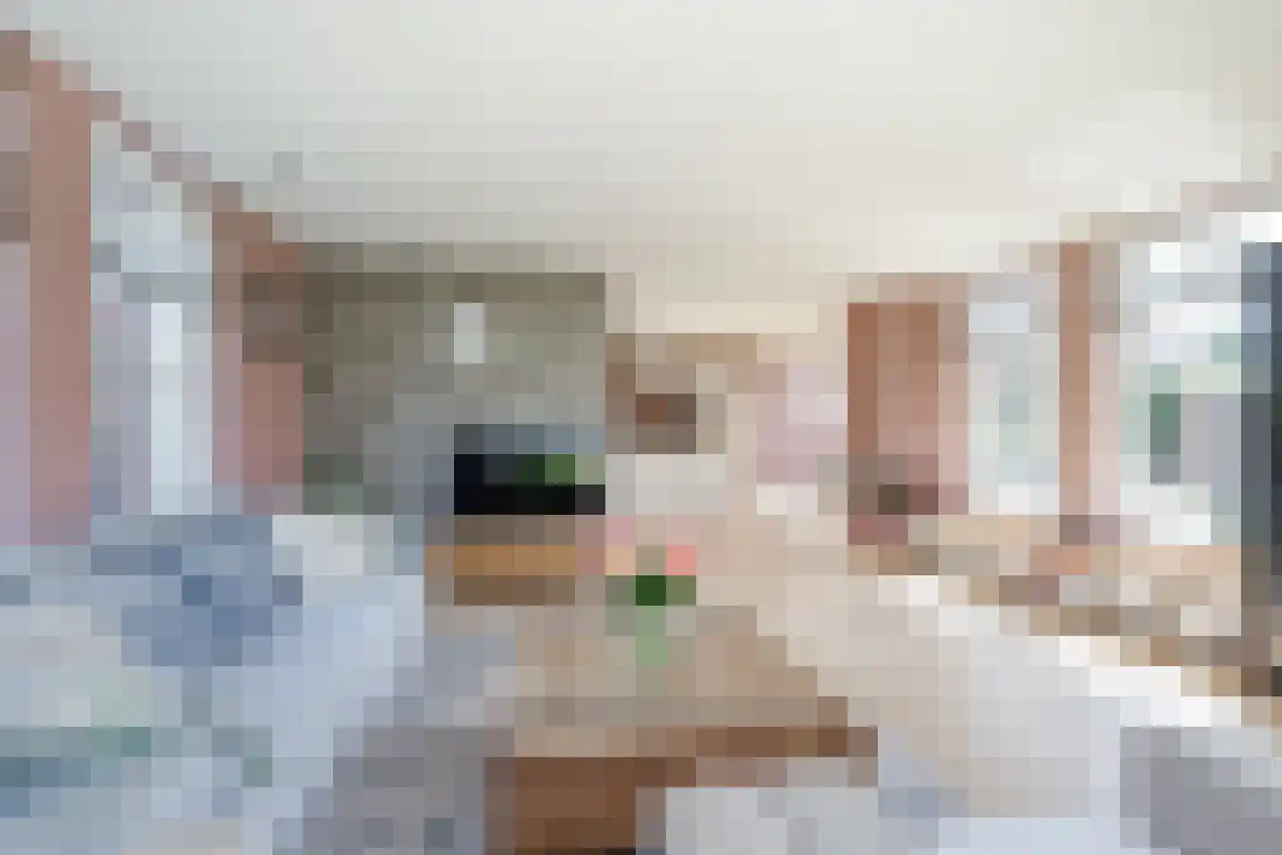 Andreas Cellariushof 2 Zwaag thumbnail 19