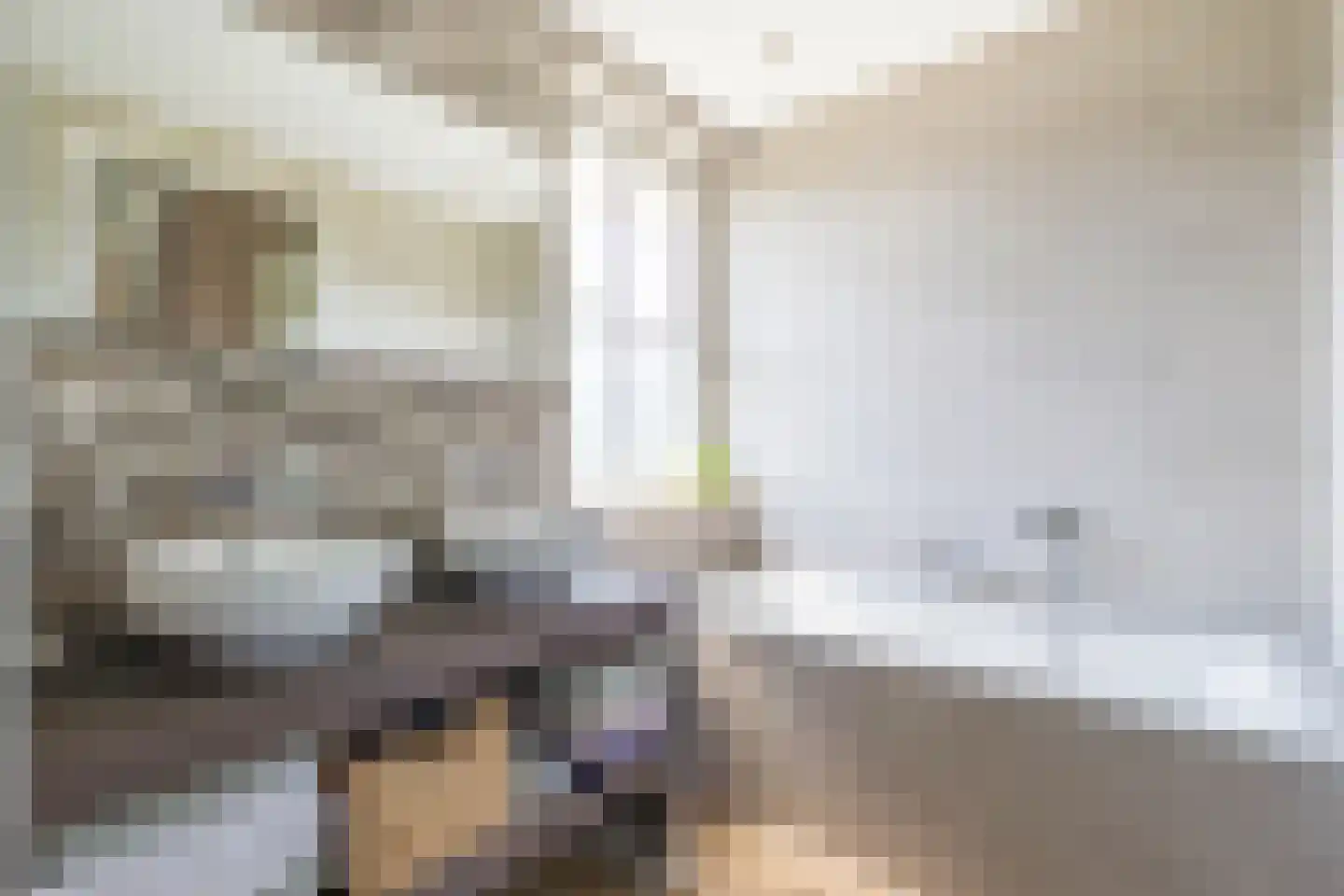 Andreas Cellariushof 2 Zwaag thumbnail 38