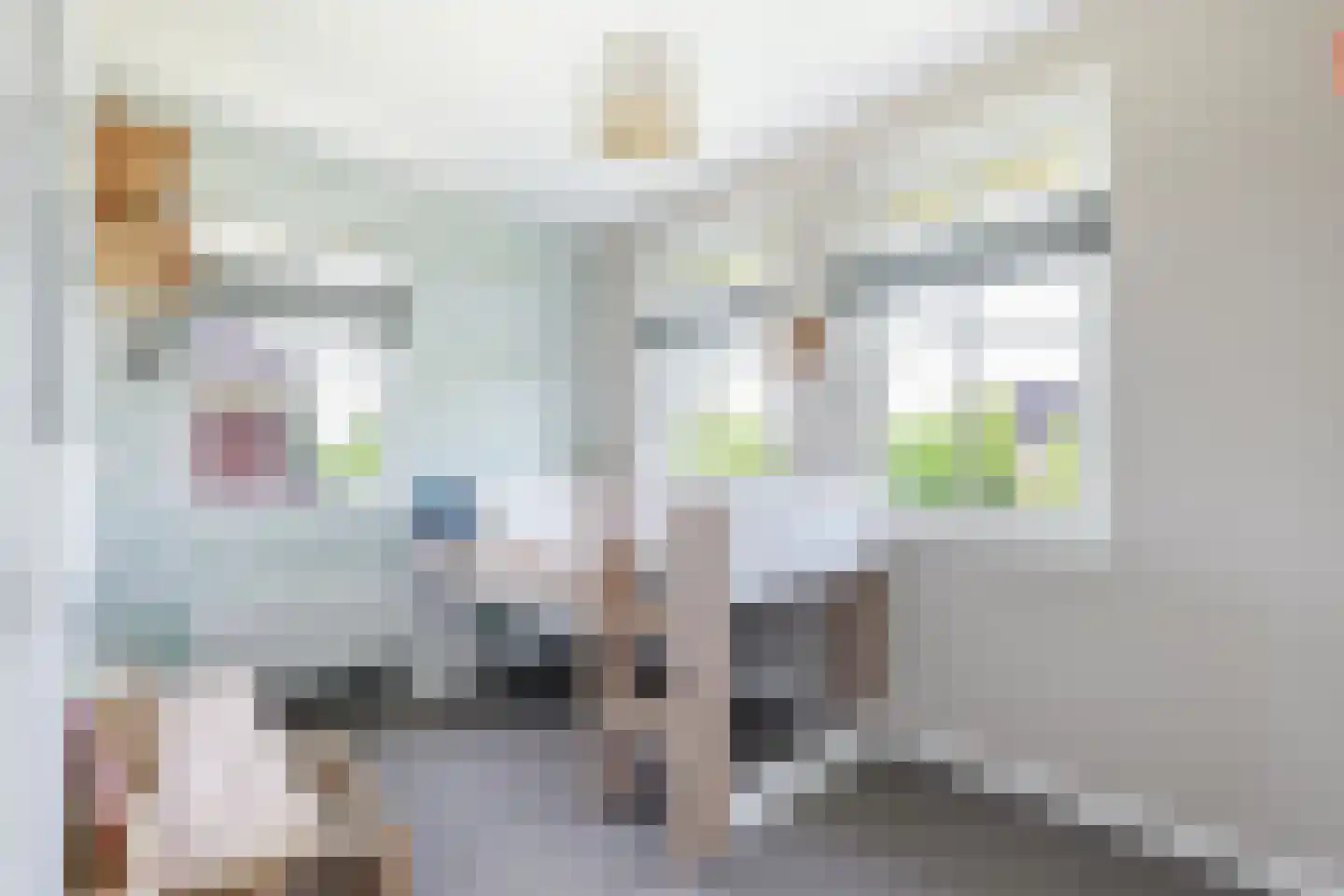 Andreas Cellariushof 2 Zwaag thumbnail 41