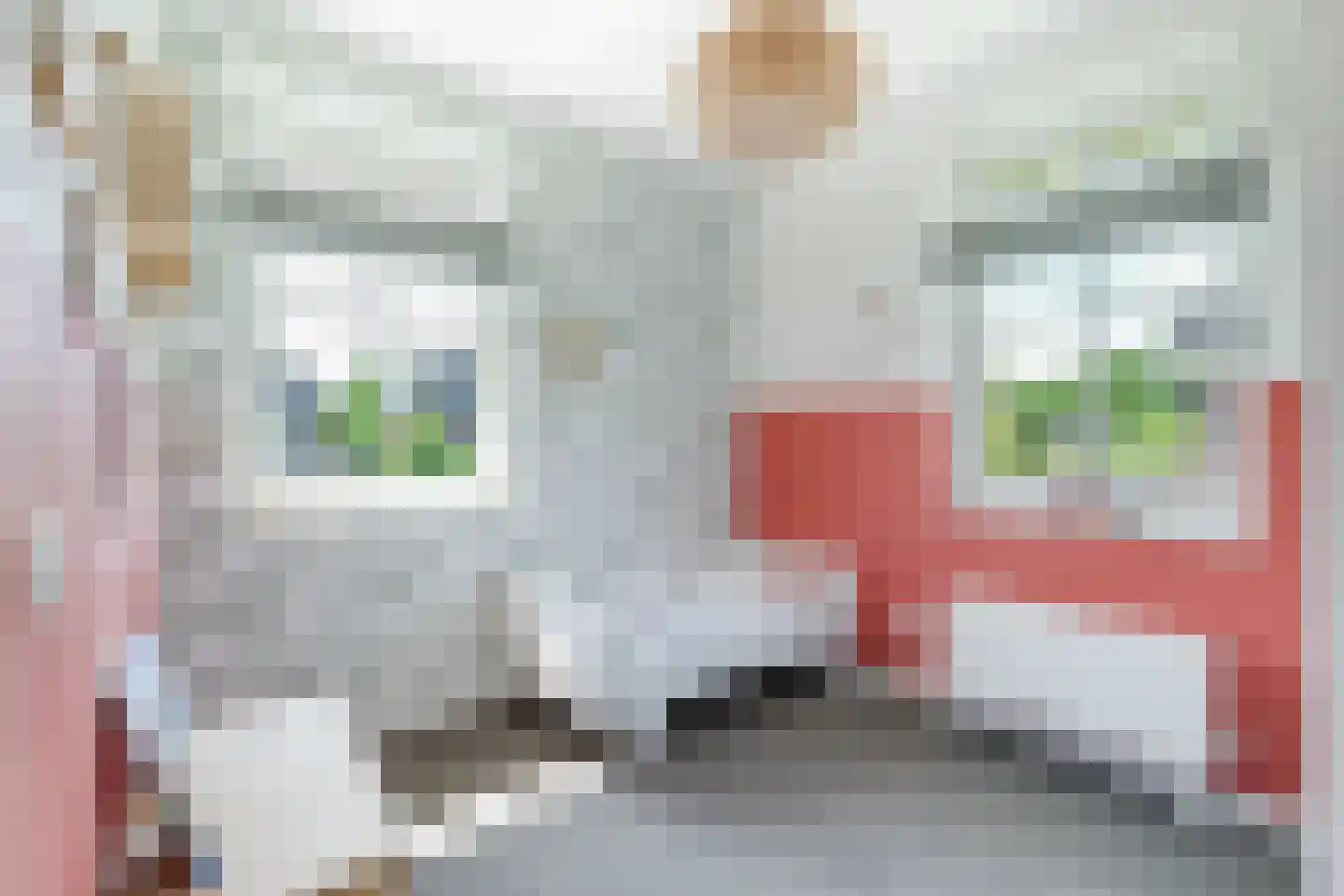 Andreas Cellariushof 2 Zwaag thumbnail 44