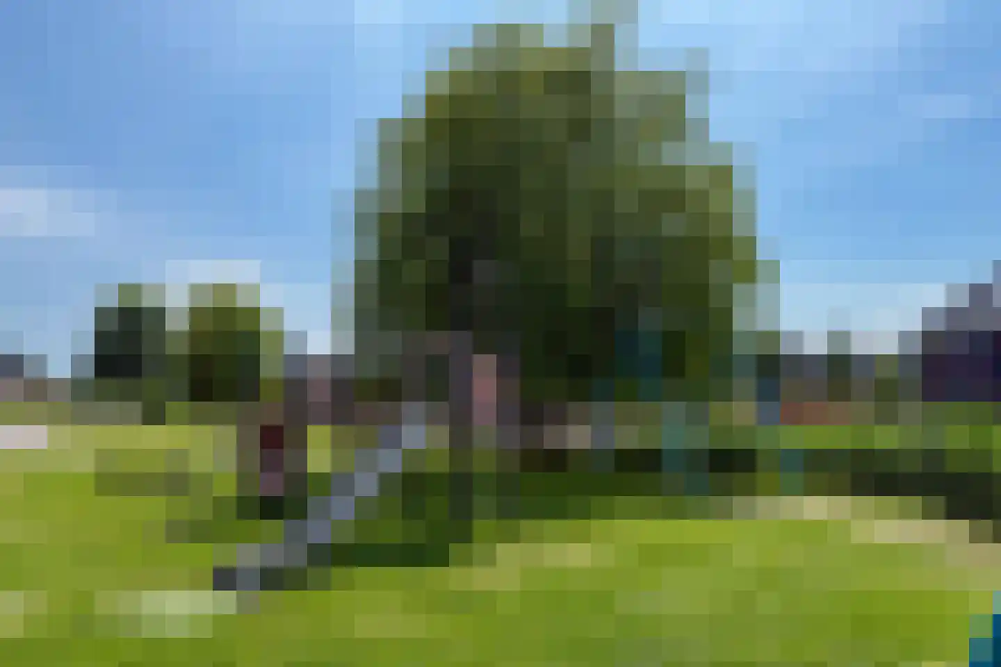 Andreas Cellariushof 2 Zwaag thumbnail 77