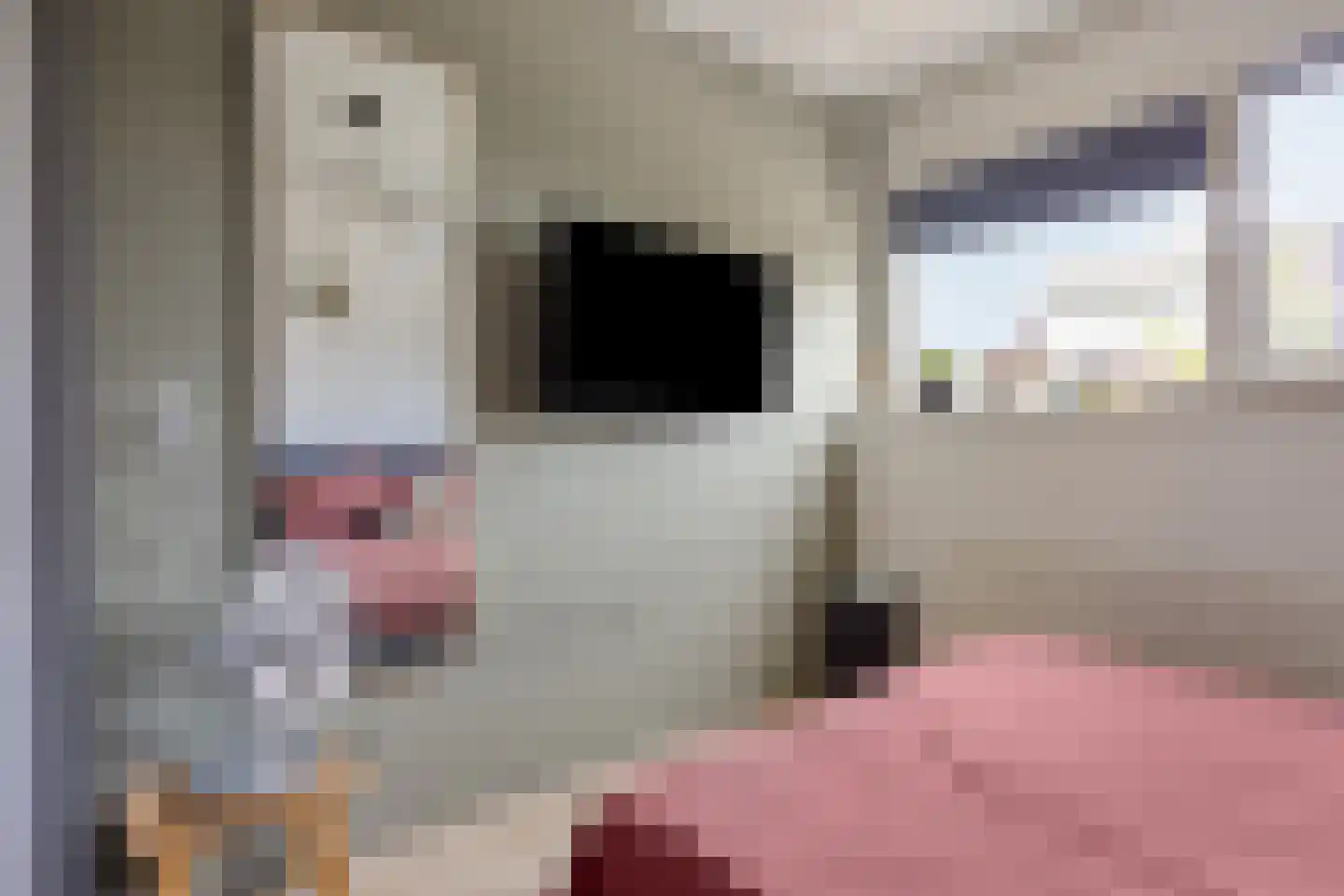 Andreas Schelfhoutrade 5 Capelle aan den IJssel thumbnail 15