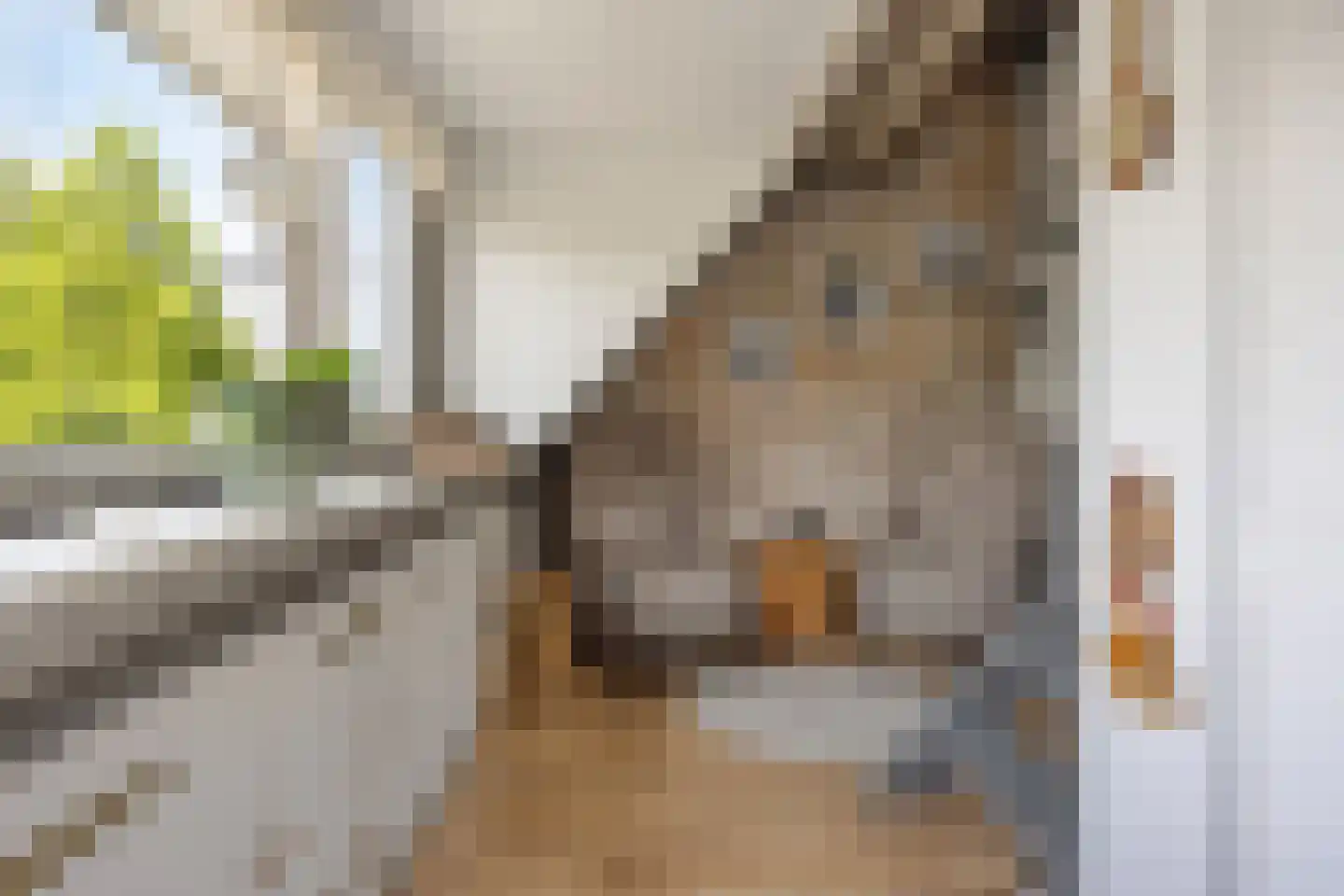 Andreas Schelfhoutrade 5 Capelle aan den IJssel thumbnail 23