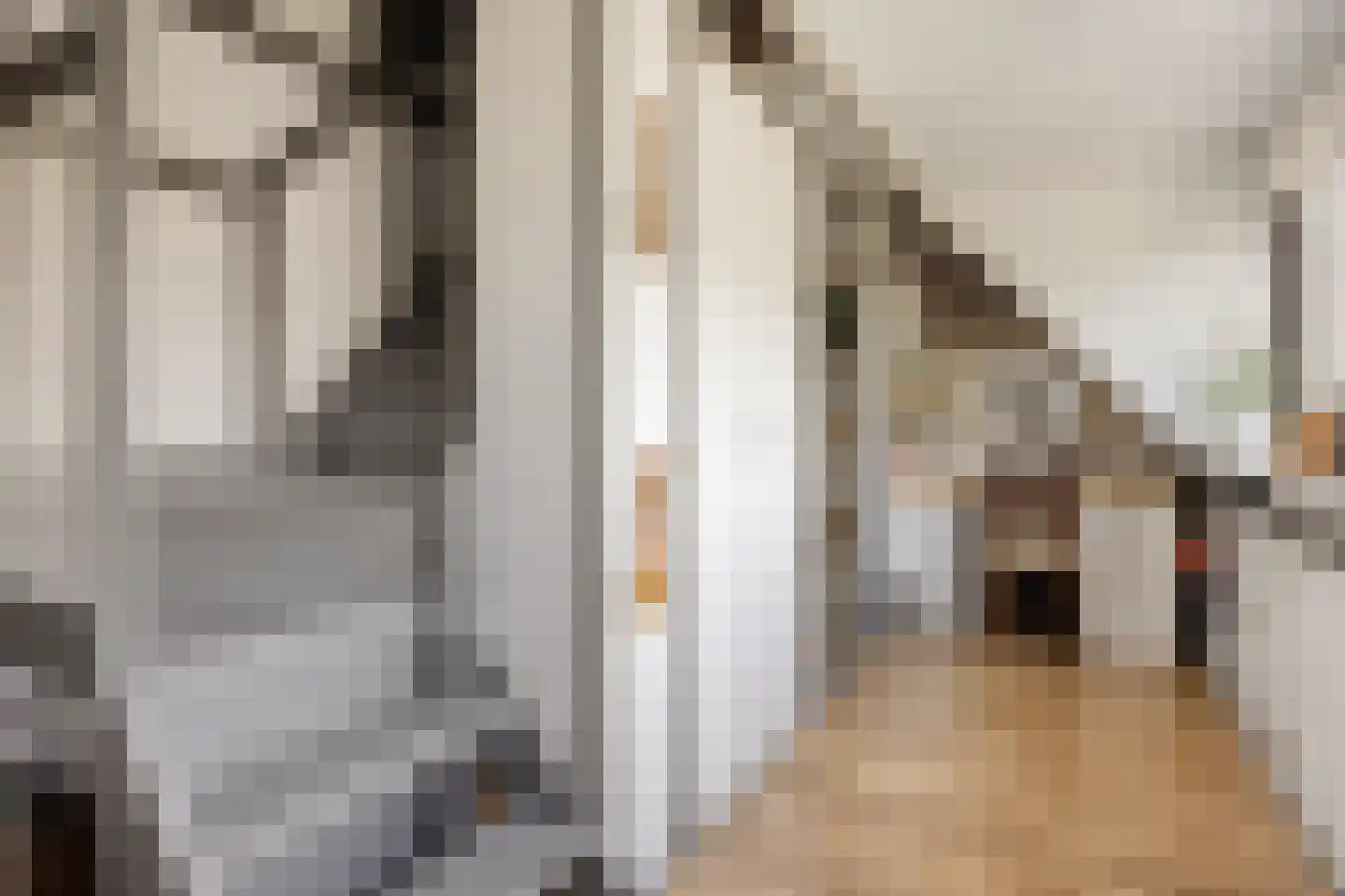 Andreas Schelfhoutrade 5 Capelle aan den IJssel thumbnail 24