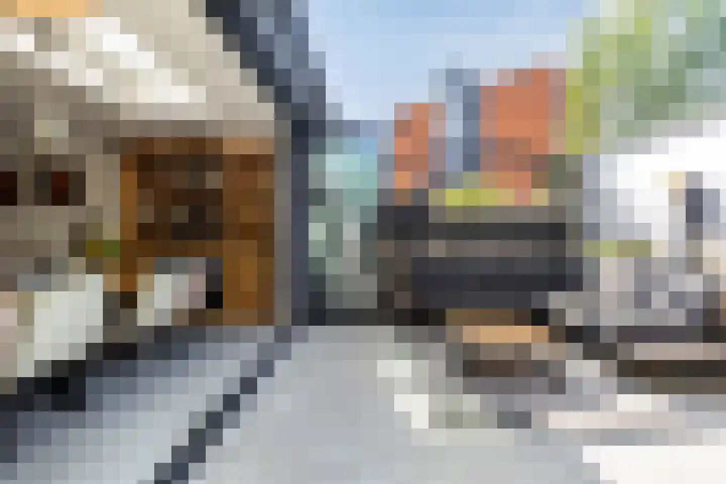 Andreas Schelfhoutrade 5 Capelle aan den IJssel thumbnail 6