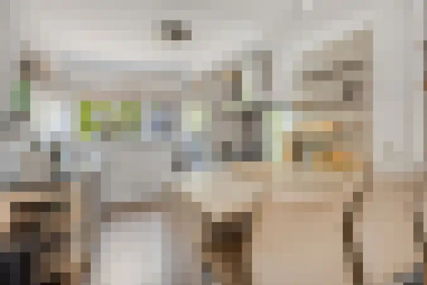 Andreas Schelfhoutrade 5 Capelle aan den IJssel thumbnail 7