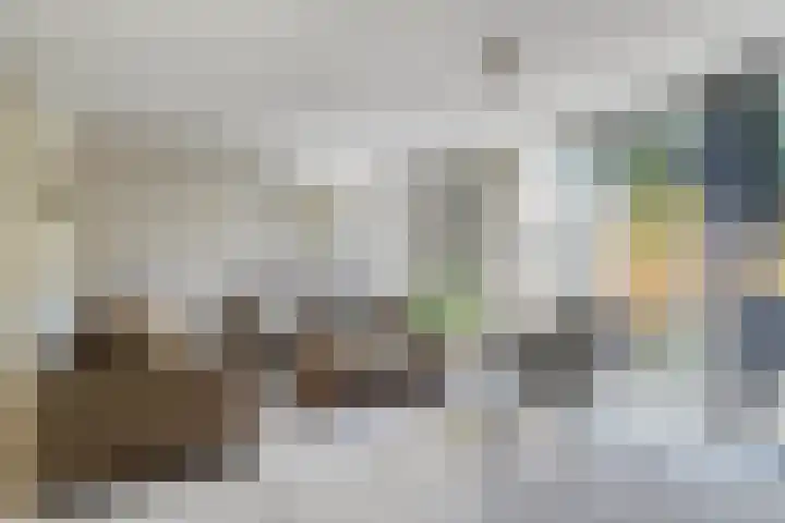 Andreas Schelfhoutrade 58 Capelle aan den IJssel thumbnail 5