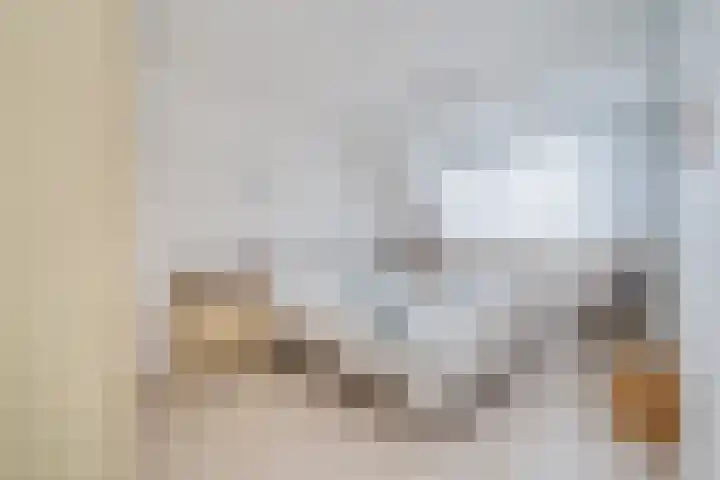 Andreas Schelfhoutrade 69 Capelle aan den IJssel thumbnail 15