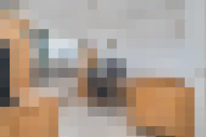 Andreas Schelfhoutrade 69 Capelle aan den IJssel thumbnail 17