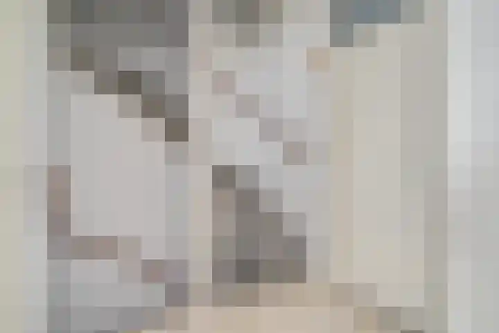 Andreas Schelfhoutrade 69 Capelle aan den IJssel thumbnail 19