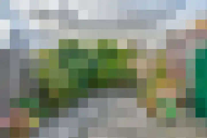 Andreas Schelfhoutrade 69 Capelle aan den IJssel thumbnail 9