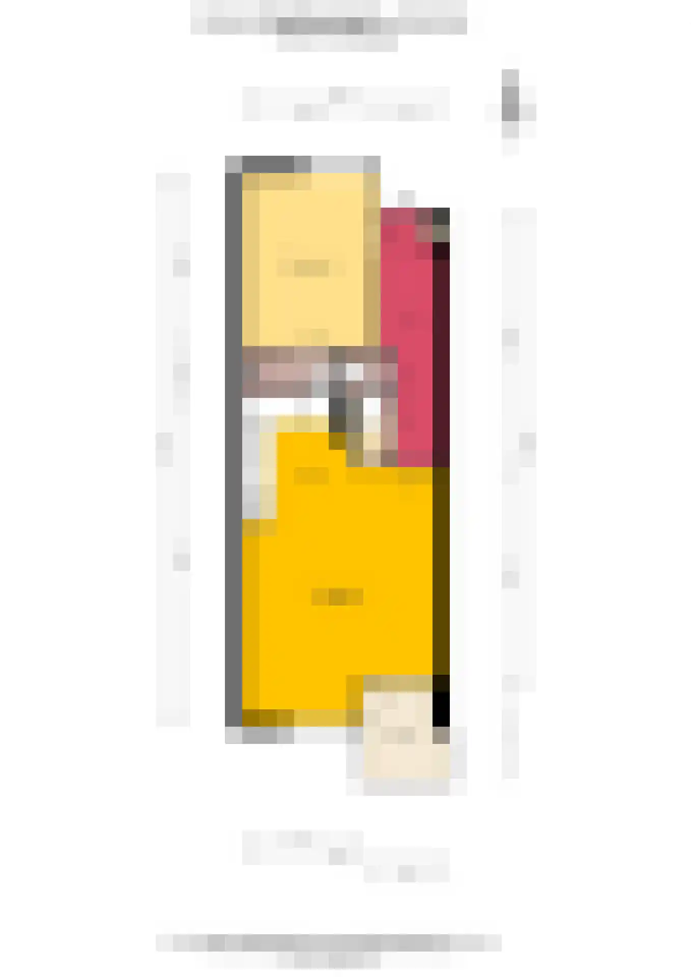 Andreas Schelfhoutstraat 16 Amsterdam thumbnail 19