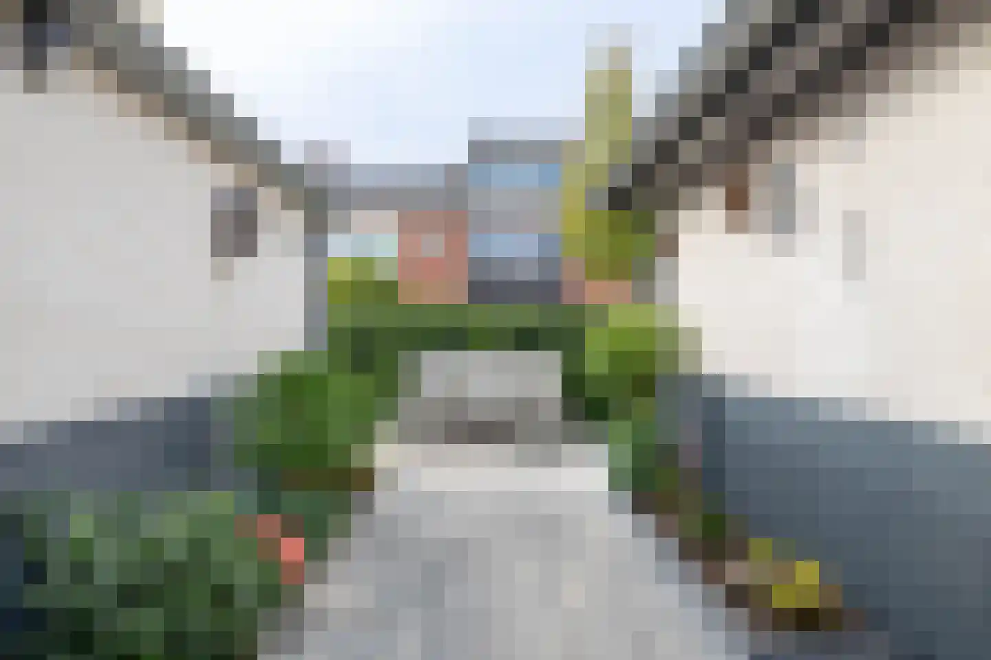 Andreas Schelfhoutstraat 19 Almelo thumbnail 25