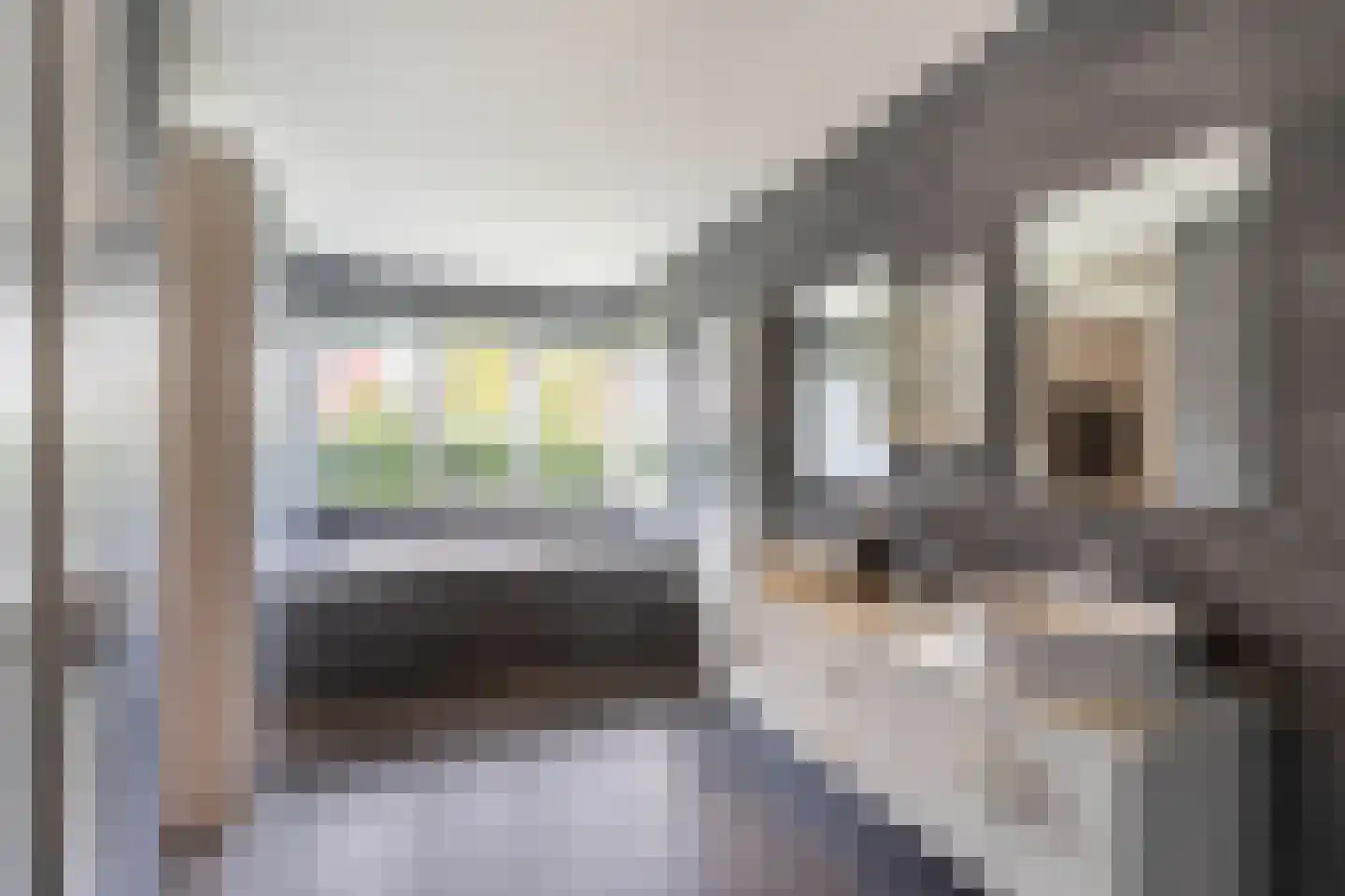 Andreas Schelfhoutstraat 19 Almelo thumbnail 4