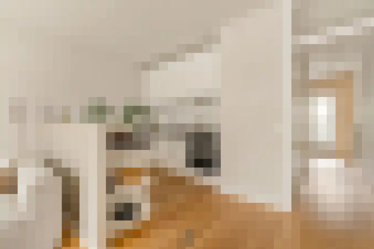 Andreas Schelfhoutstraat 22 Amsterdam thumbnail 24