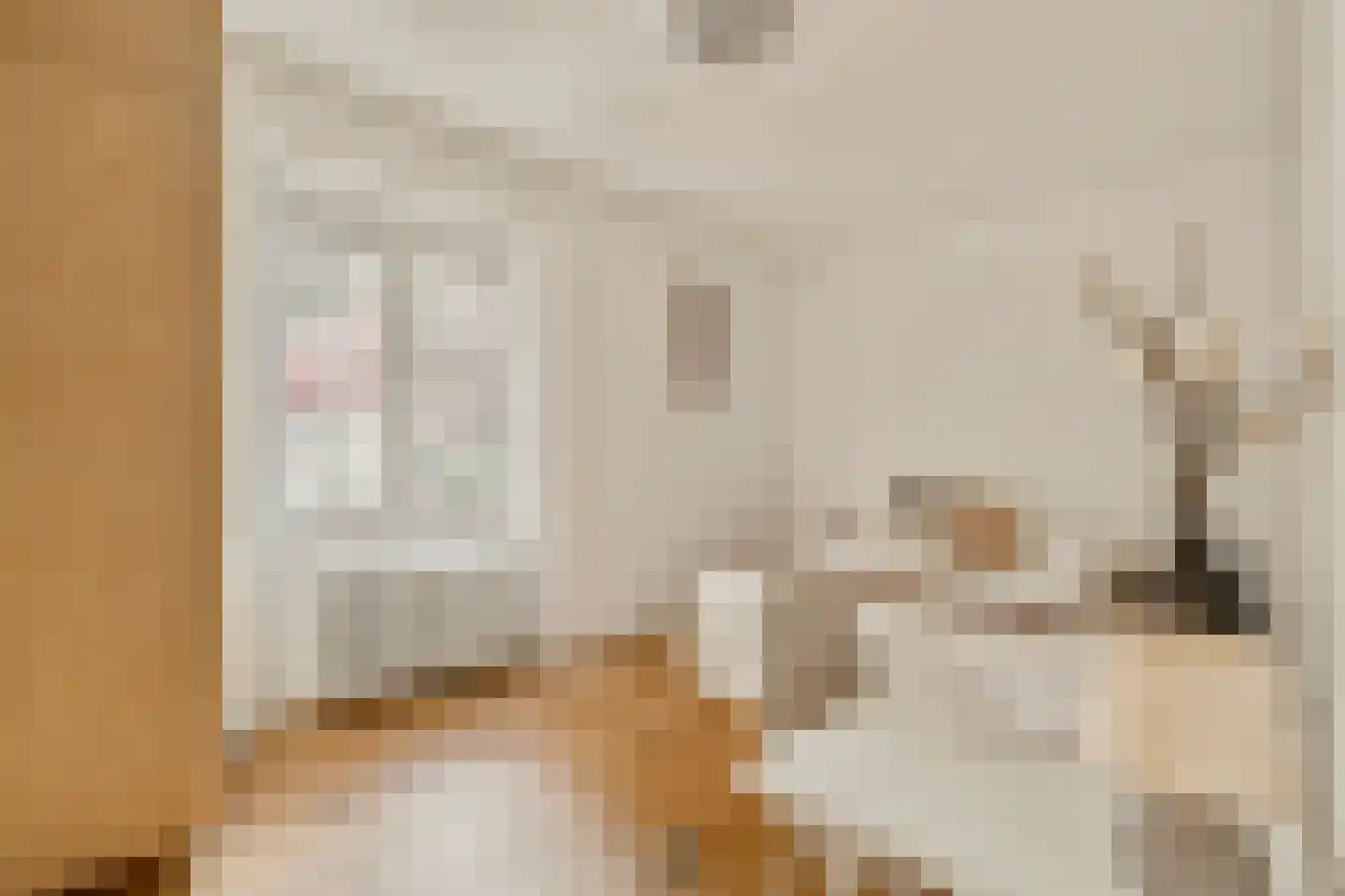 Andreas Schelfhoutstraat 22 Amsterdam thumbnail 28