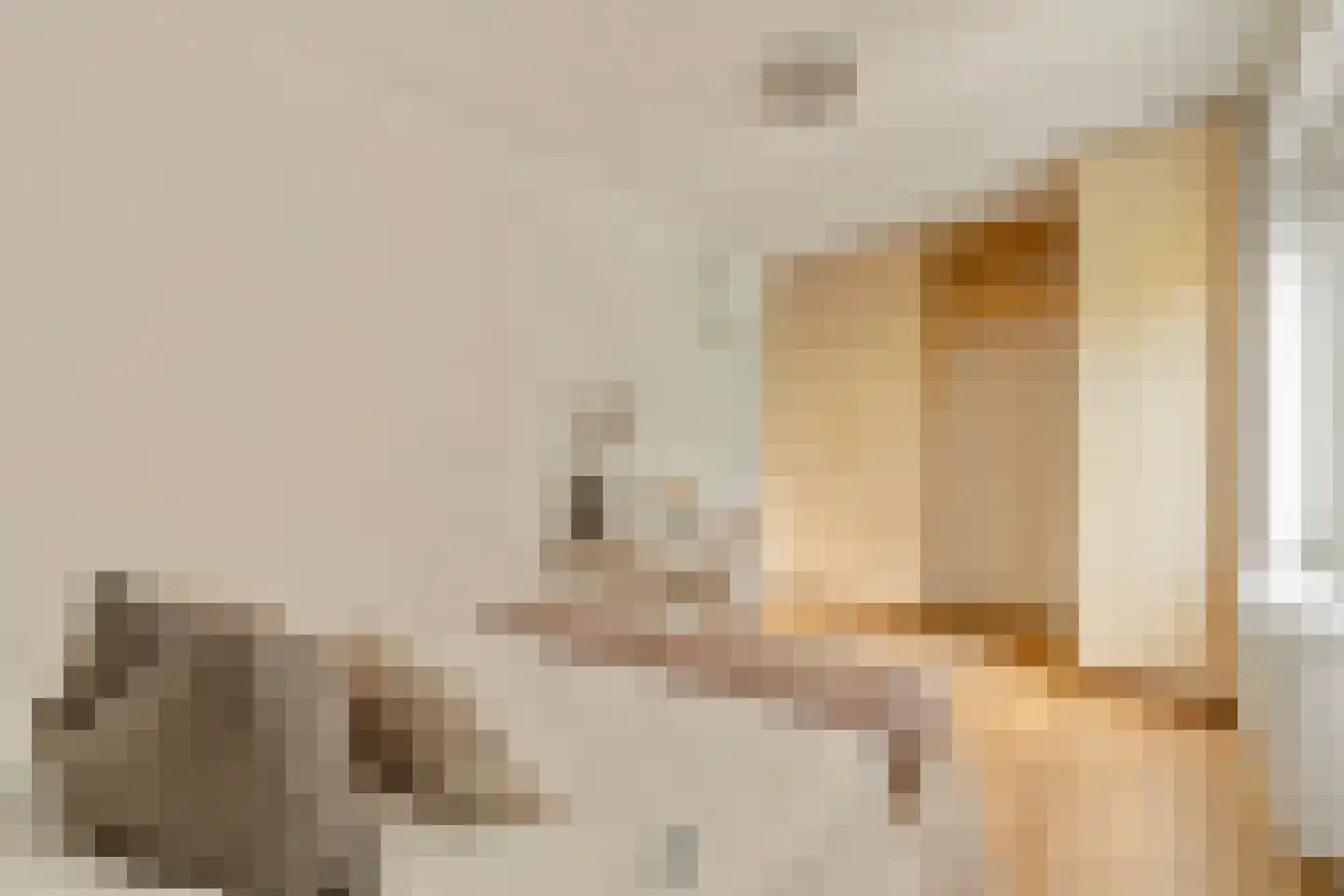 Andreas Schelfhoutstraat 22 Amsterdam thumbnail 30
