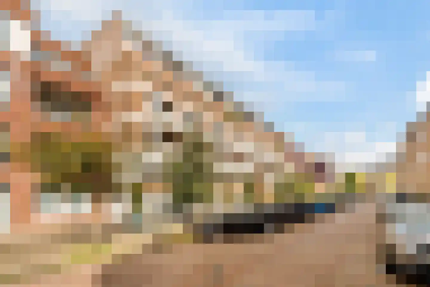 Andreas Schelfhoutstraat 22 Amsterdam thumbnail 34
