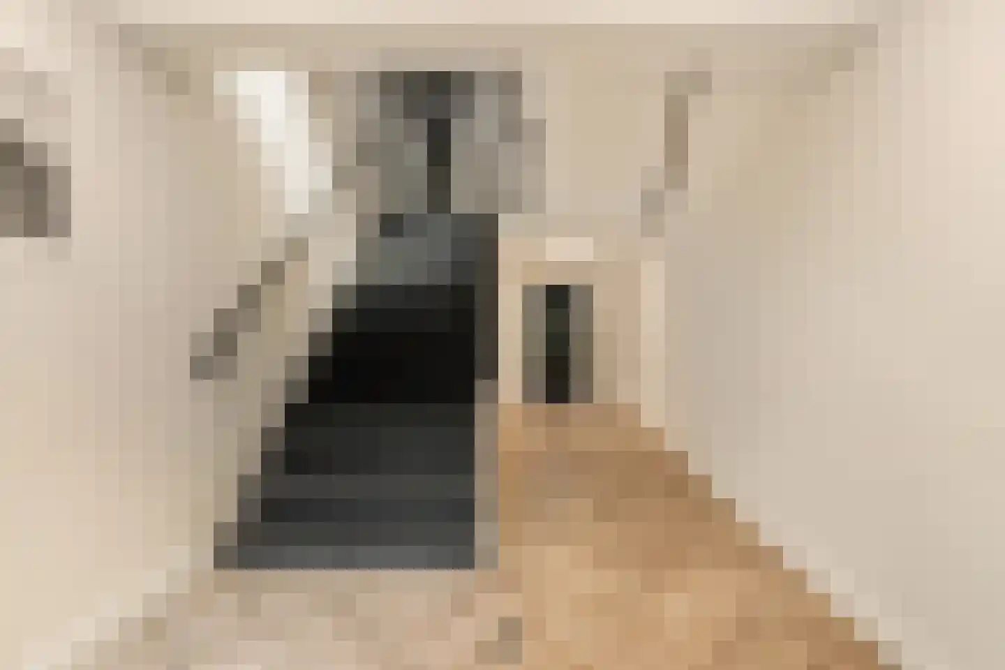Andreas Schelfhoutstraat 22 Amsterdam thumbnail 7