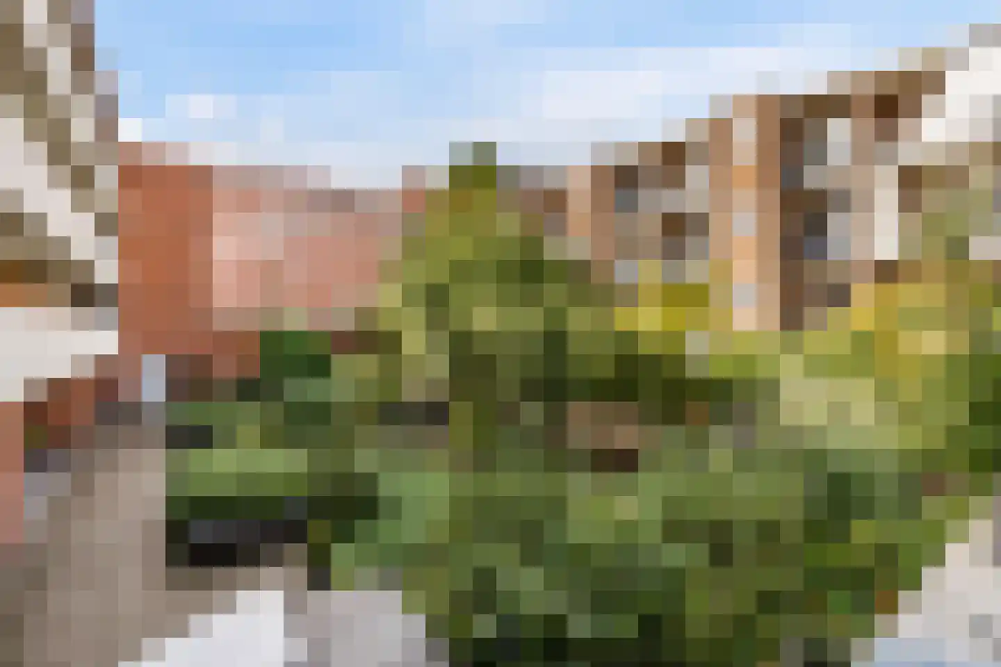 Andreas Schelfhoutstraat 22 Amsterdam thumbnail 9
