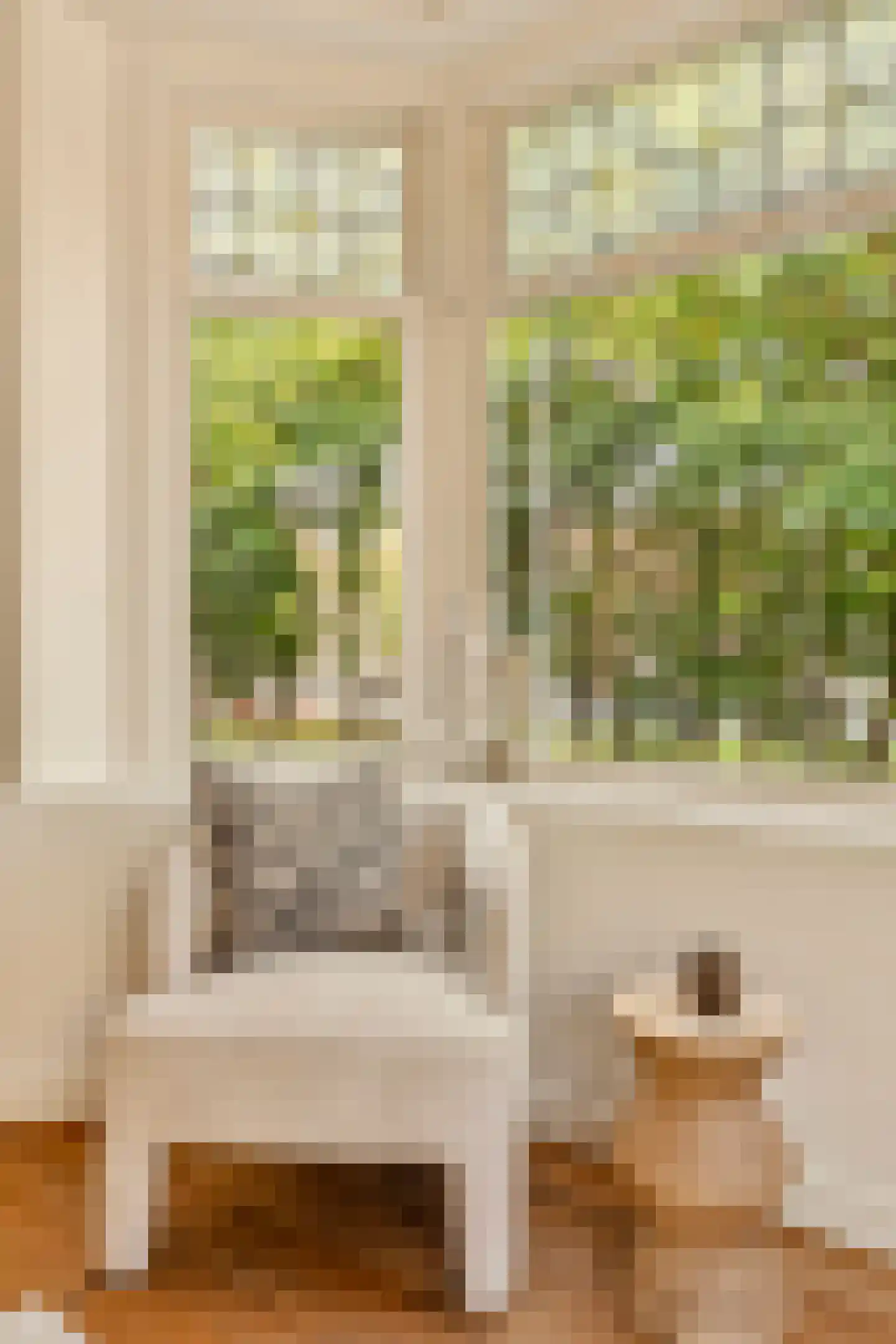 Andreas Schelfhoutstraat 29 1 Amsterdam thumbnail 13