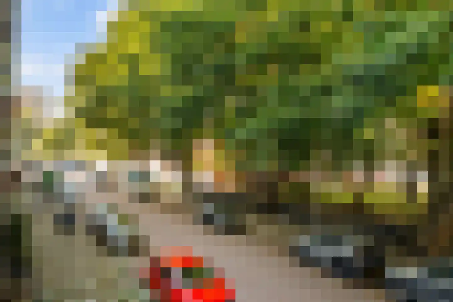 Andreas Schelfhoutstraat 29 1 Amsterdam thumbnail 25
