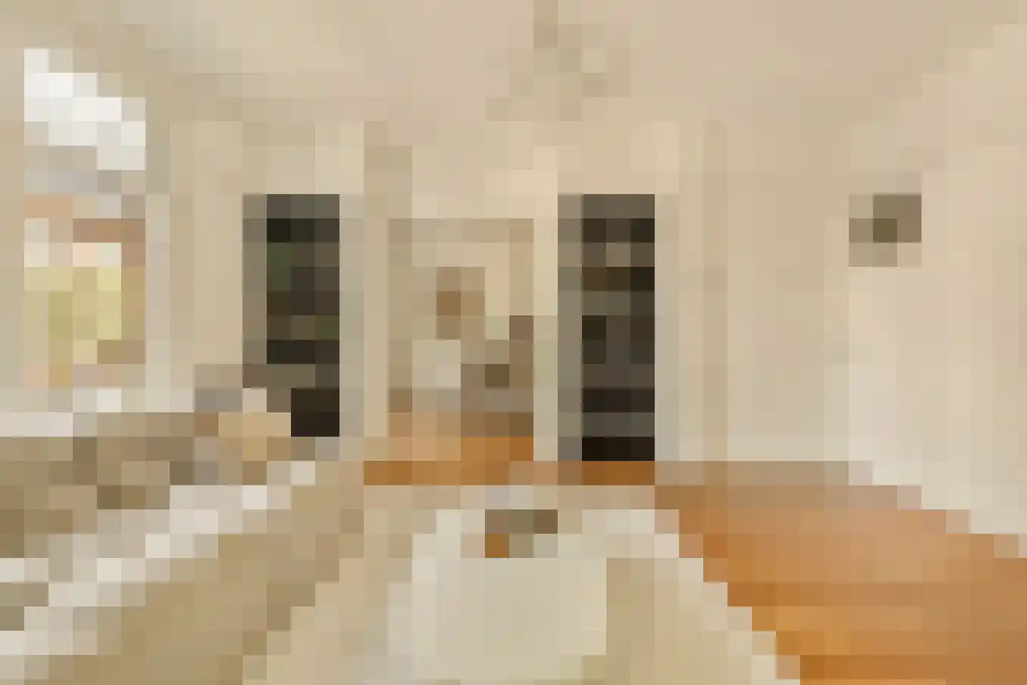 Andreas Schelfhoutstraat 29 1 Amsterdam thumbnail 8