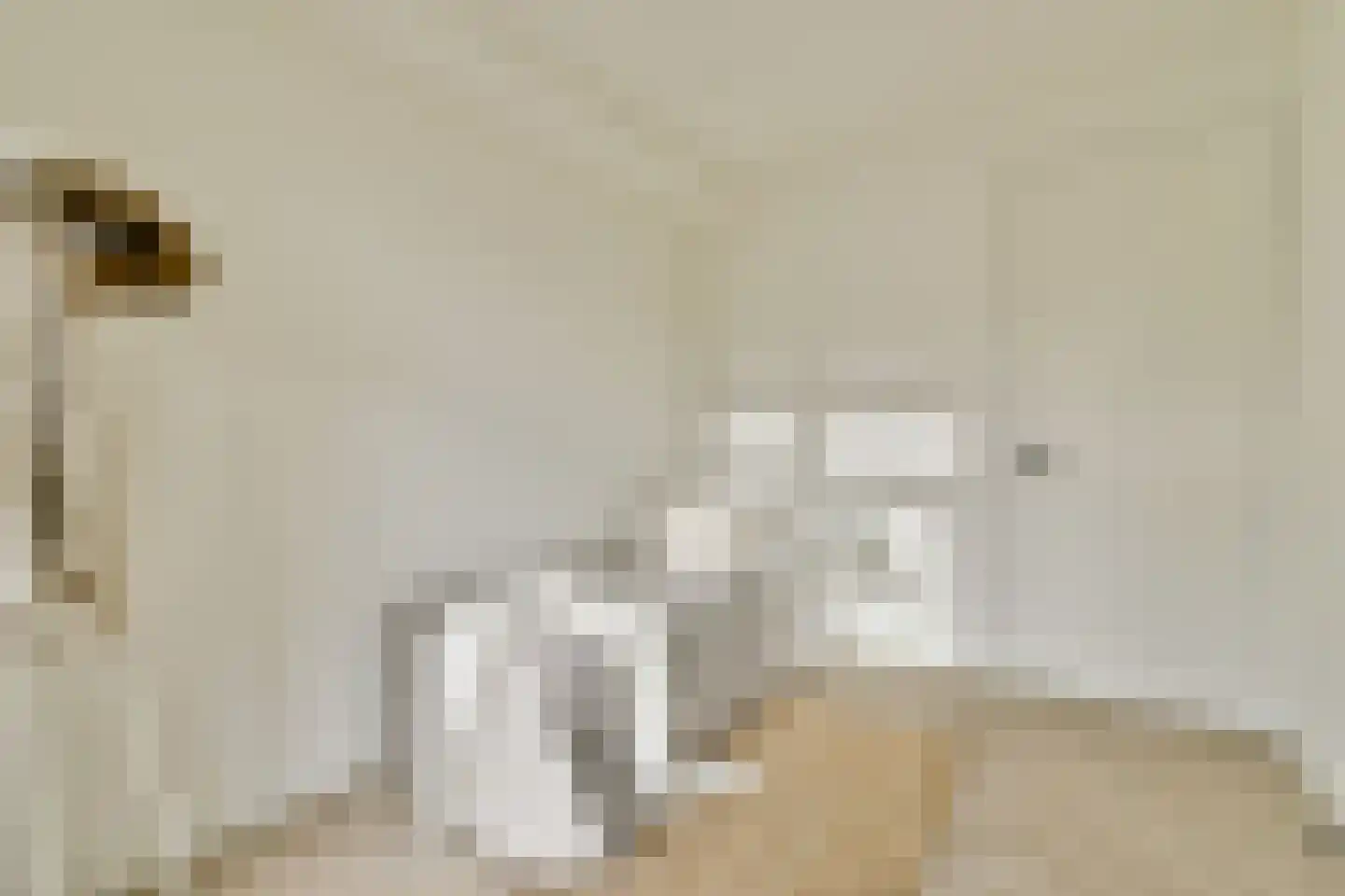 Andreas Schelfhoutstraat 41 1 Amsterdam thumbnail 13