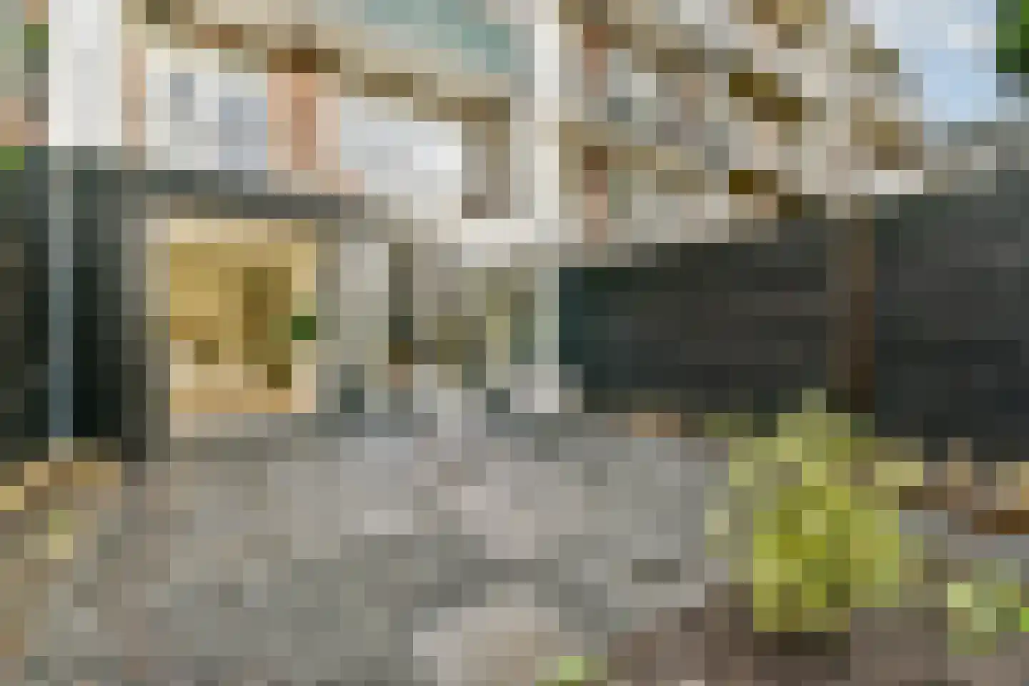 Andreas Schelfhoutstraat 41 1 Amsterdam thumbnail 13