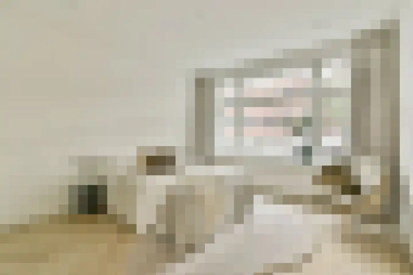 Andreas Schelfhoutstraat 41 1 Amsterdam thumbnail 18