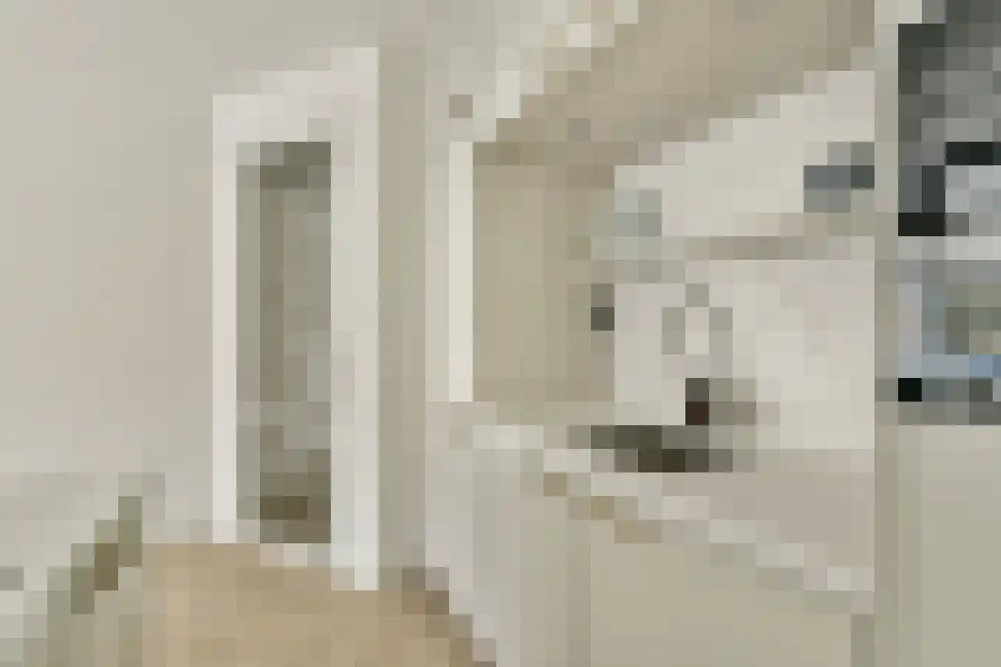 Andreas Schelfhoutstraat 41 1 Amsterdam thumbnail 6