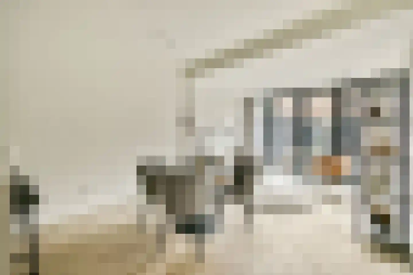 Andreas Schelfhoutstraat 41 1 Amsterdam thumbnail 9